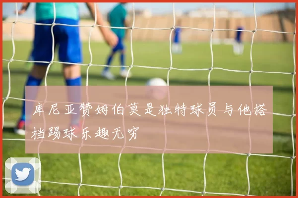 库尼亚赞姆伯莫是独特球员与他搭档踢球乐趣无穷
