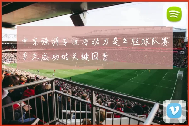 申京强调专注与动力是年轻球队赛季末成功的关键因素